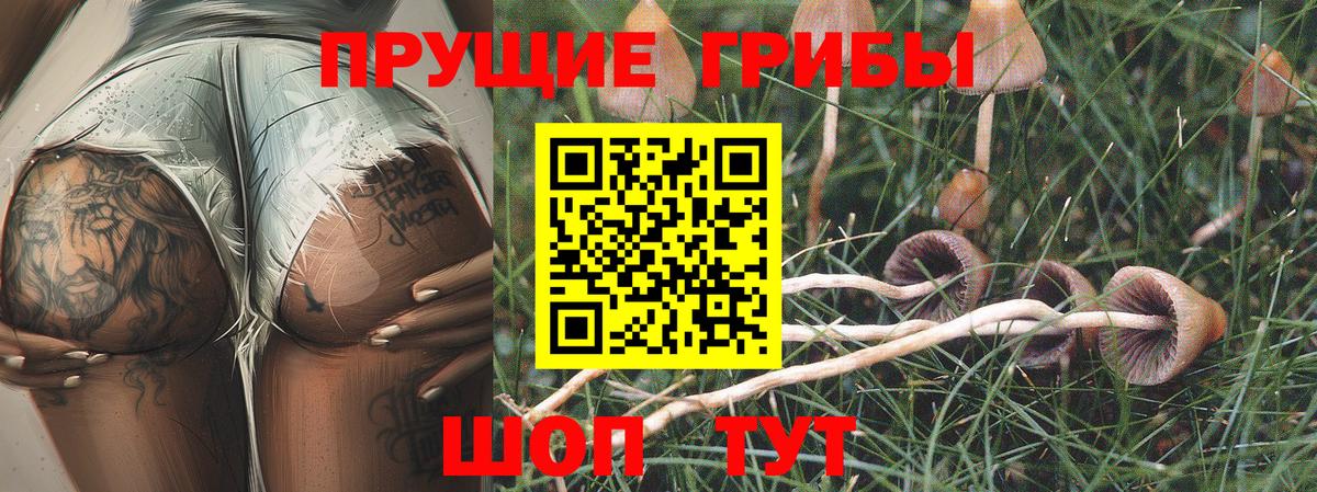 Галлюциногенные грибы Cubensis  Вход с VPN  Белорецк 